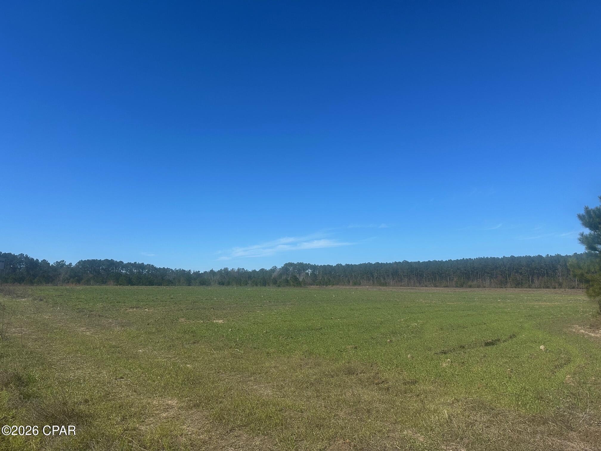0 River Road Sneads, FL 32460 - Photo 3 of 23