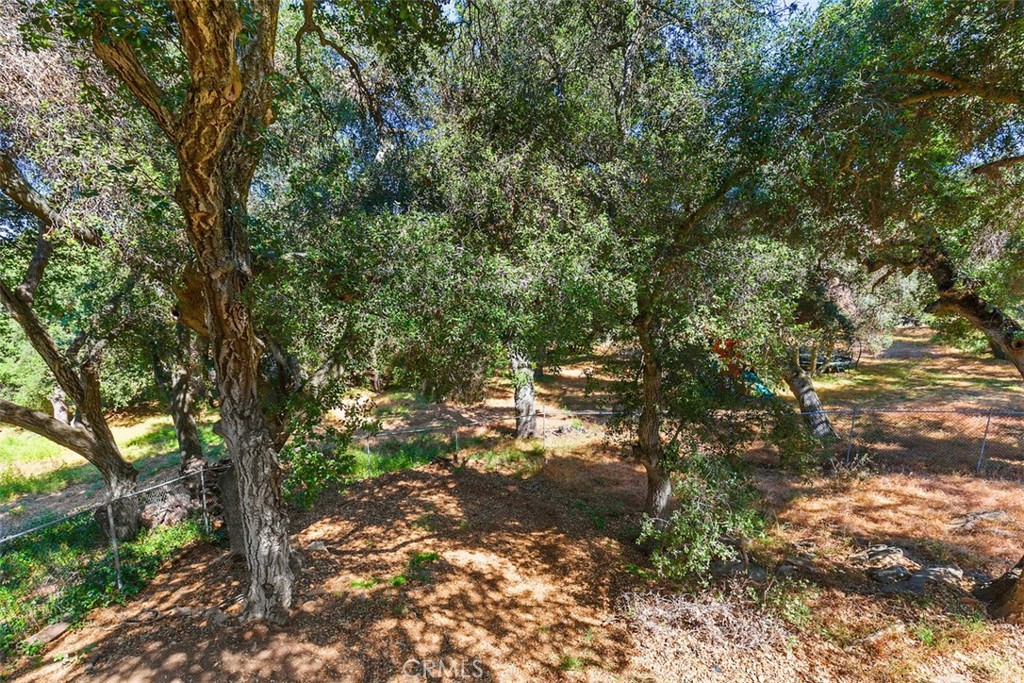 35455 El Niguel Road Lake Elsinore, CA 92530 - Photo 45 of 58 a view of a tree in a yard