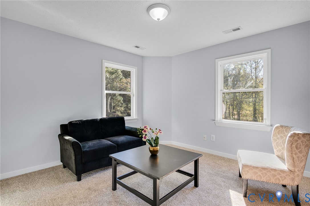 12575 Webb Road Disputanta, VA 23842 - Photo 23 of 45 Gallery Image 23