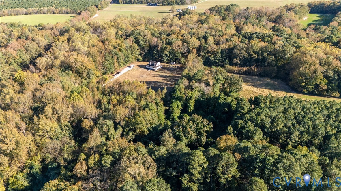 12575 Webb Road Disputanta, VA 23842 - Photo 40 of 45 Gallery Image 40