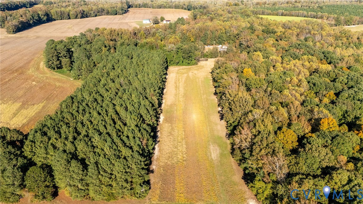 12575 Webb Road Disputanta, VA 23842 - Photo 42 of 45 Gallery Image 42