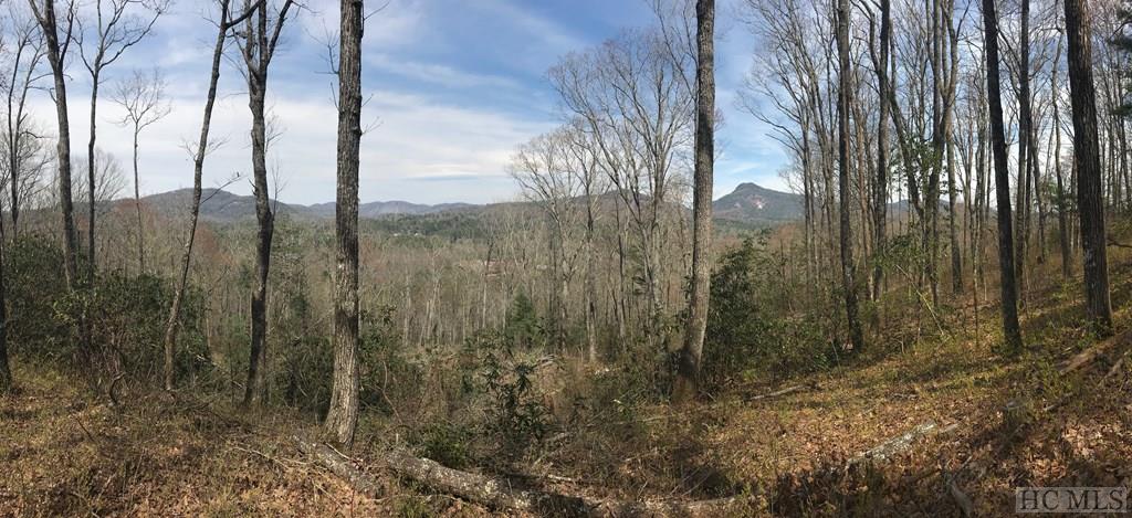 Lot 13 High Cliffs Road Cashiers, NC 28717 - Photo 11 of 27 Gallery Image 11