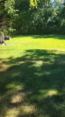a view of a yard
