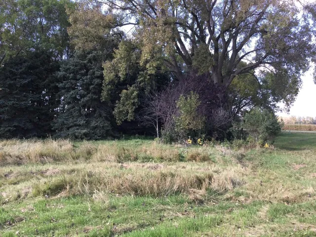 $129,000 | 2029 210th Avenue, Canby, MN 56220