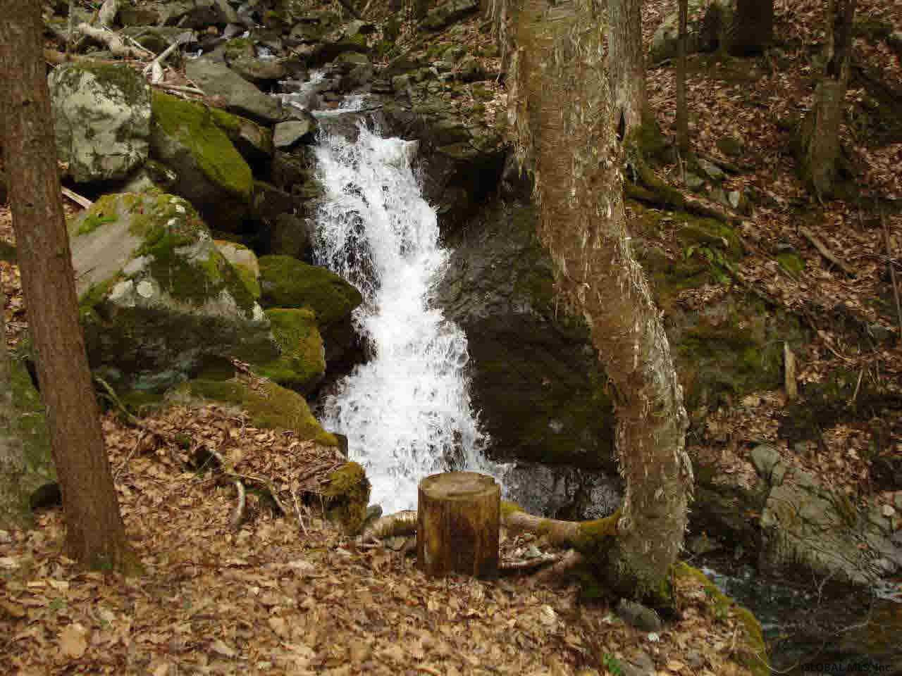 1 Mosier Road Whitehall, NY 12887 - Photo 6 of 9 Photo 6