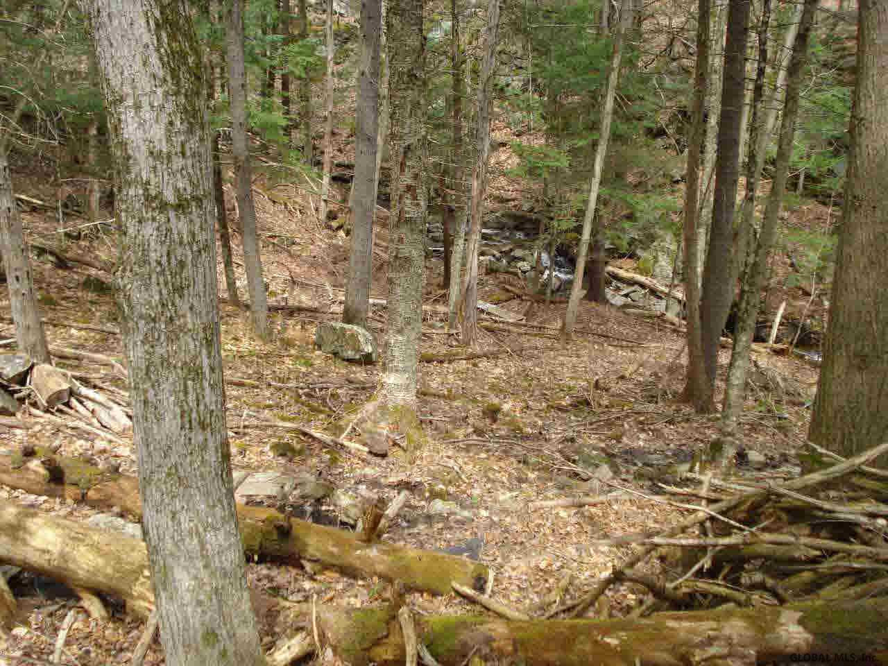 1 Mosier Road Whitehall, NY 12887 - Photo 9 of 9 Photo 9