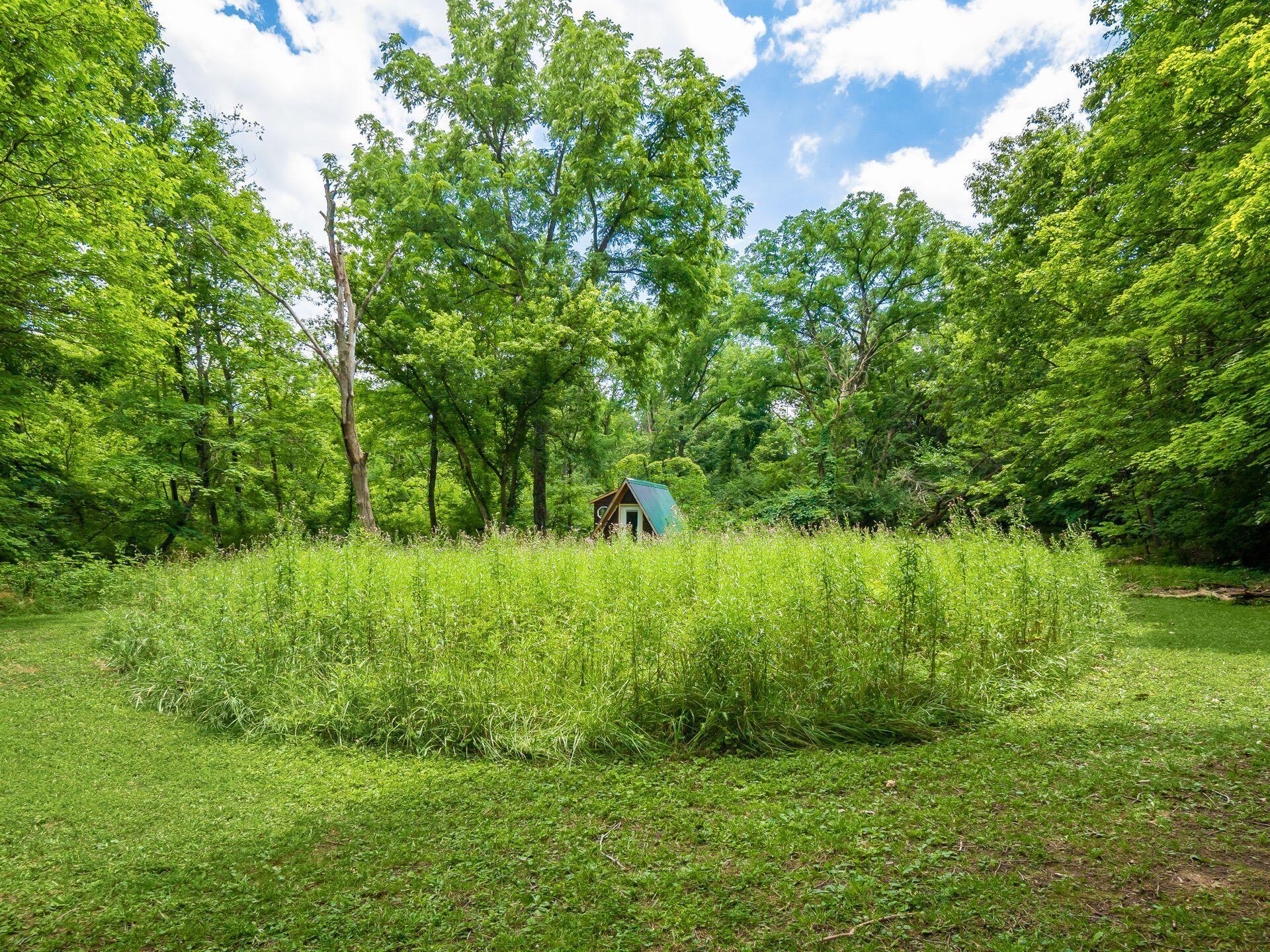 1700 Demorest Road Columbus, OH 43228 - Photo 46 of 60 Luscious Meadow