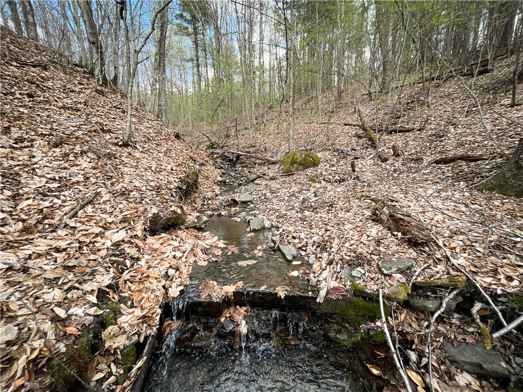 West Creek Road Richford, NY 13835 - Photo 16 of 44