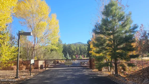 a view of street along with trees