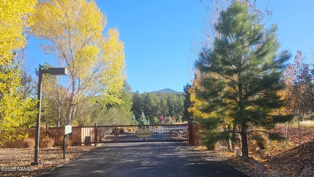 a view of street along with trees
