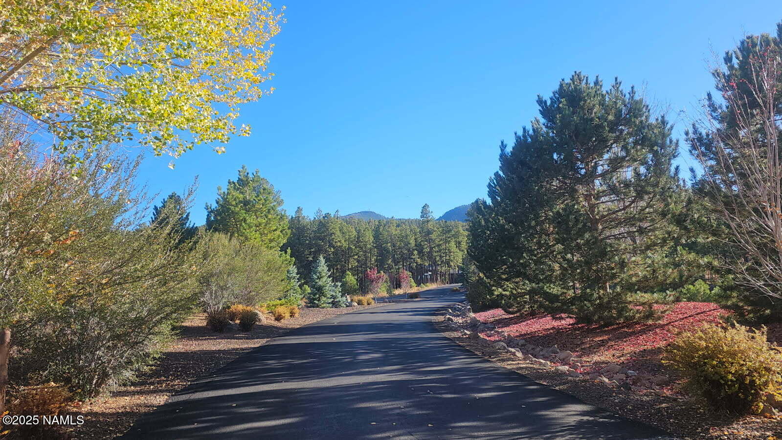 1035-1037 Timbernook Crossing Williams, AZ 86046 - Photo 2 of 17 a view of street along with trees