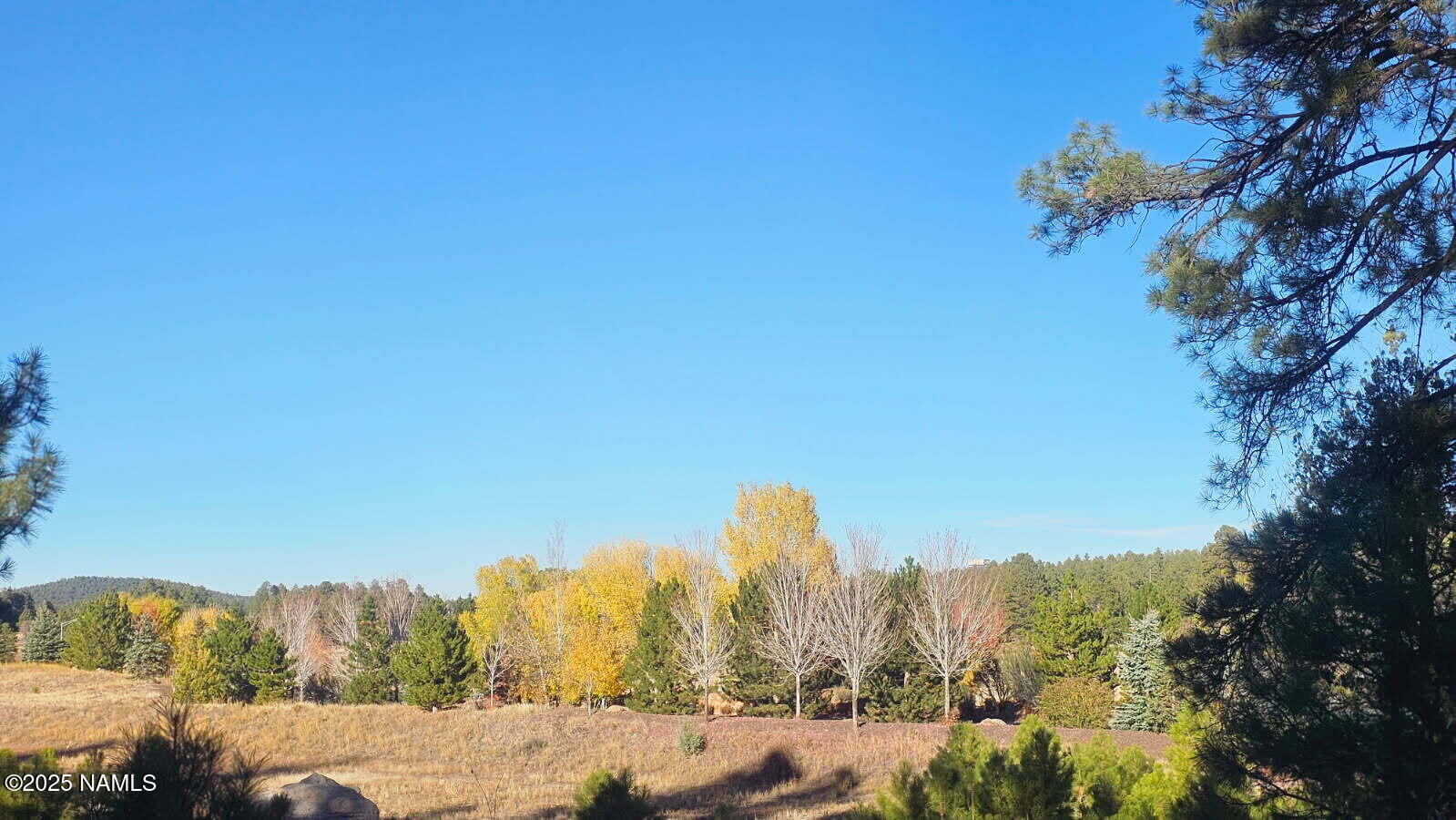 1035-1037 Timbernook Crossing Williams, AZ 86046 - Photo 7 of 17 a view of a city with lots of trees