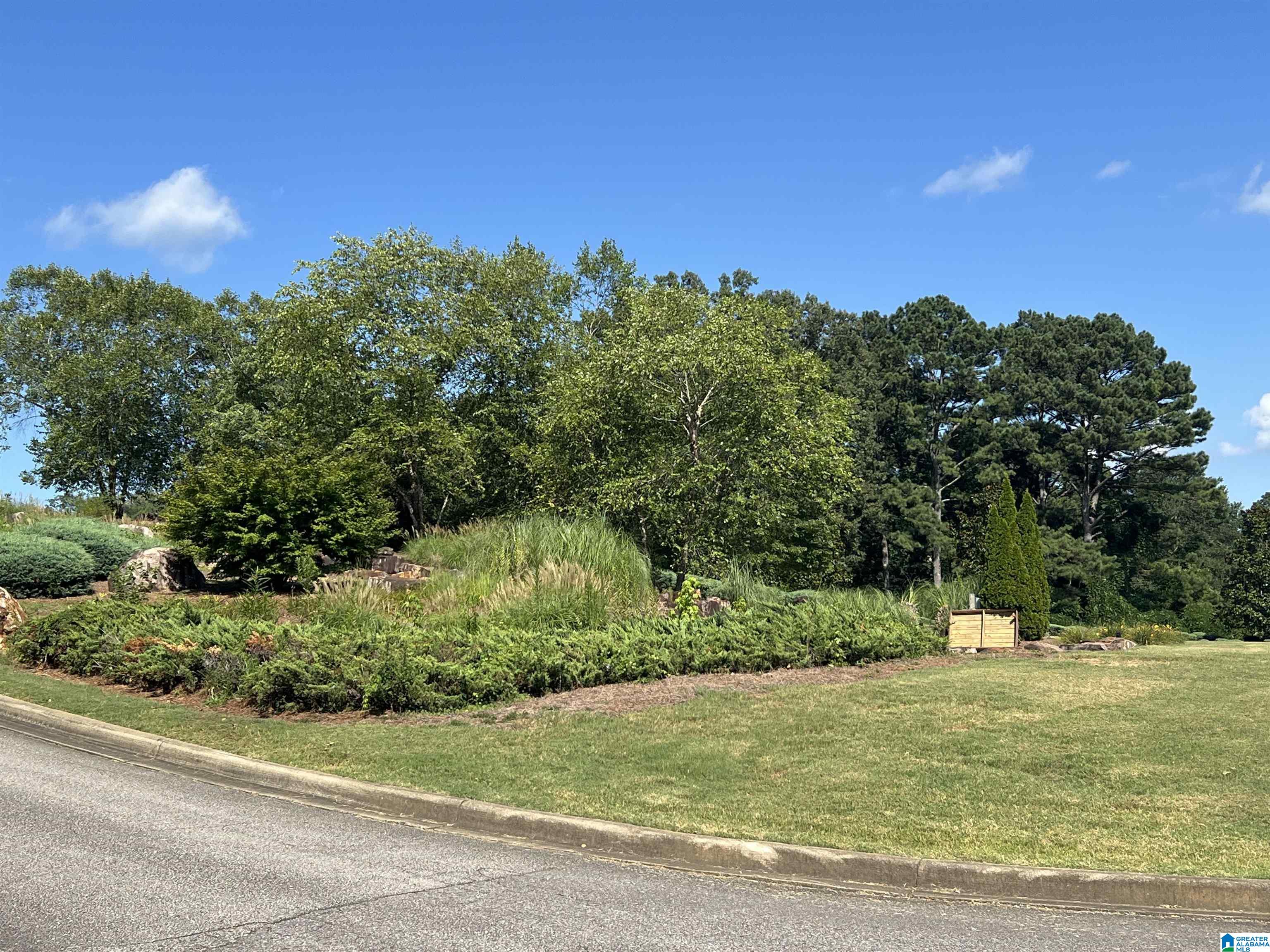 845 Redhawk Ridge, Unit 34 Springville, AL 35146 - Photo 4 of 11