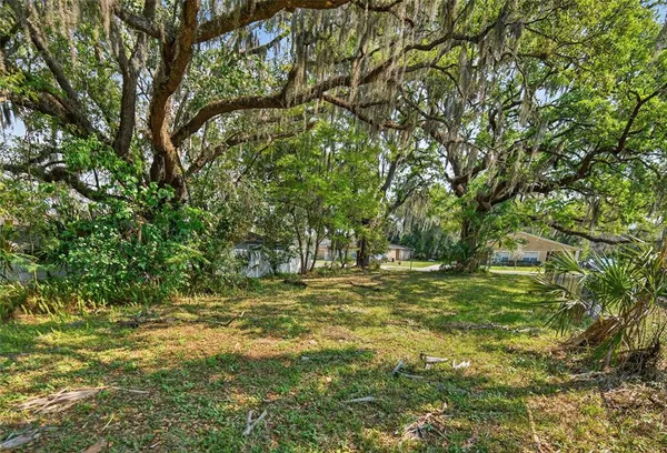 a view of a field with trees