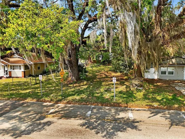 a view of a yard with plants and trees