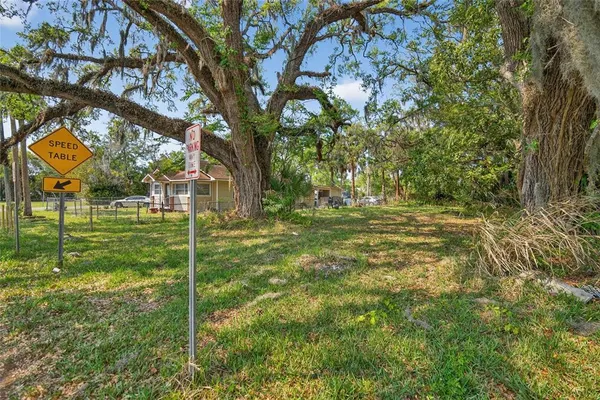 a view of a tree in a yard