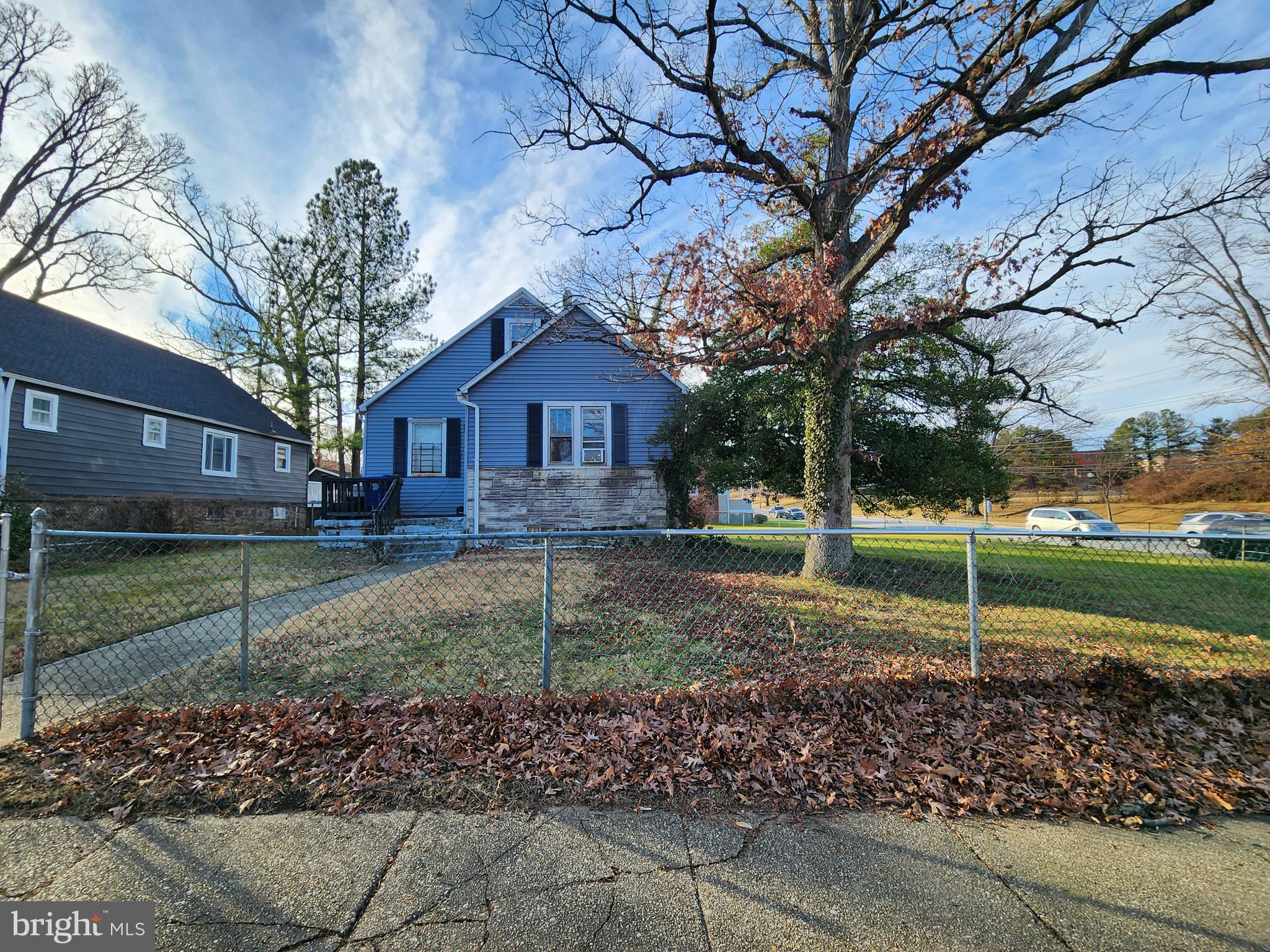 a backyard of a house with plants and large tree