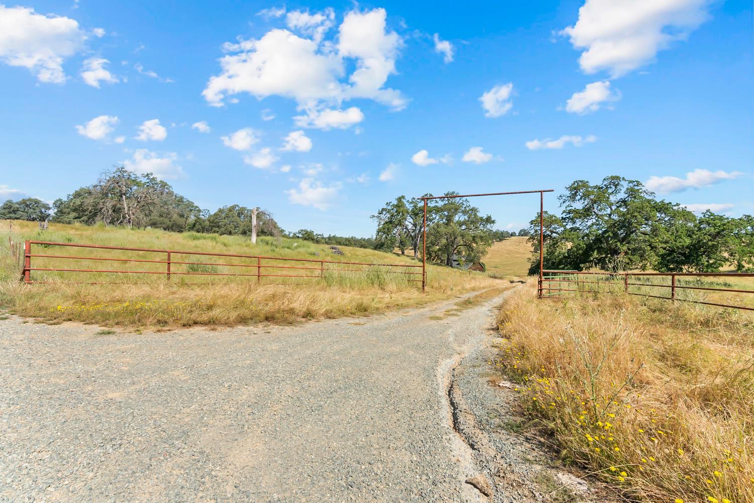 12850 Fiddletown Road Plymouth, CA 95669 - Photo 22 of 88 Steel rail gated entrance.