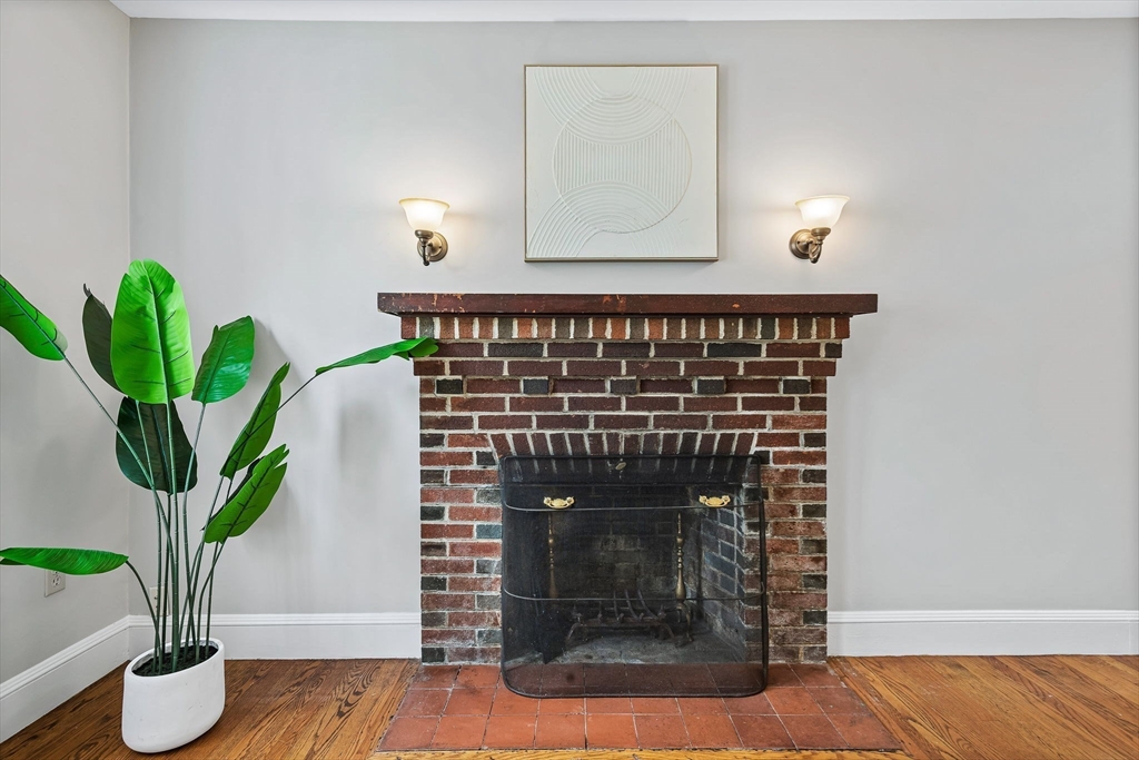 57 Huron Circle Boston, MA 02124 - Photo 5 of 32 a closeup of a potted plant with a window