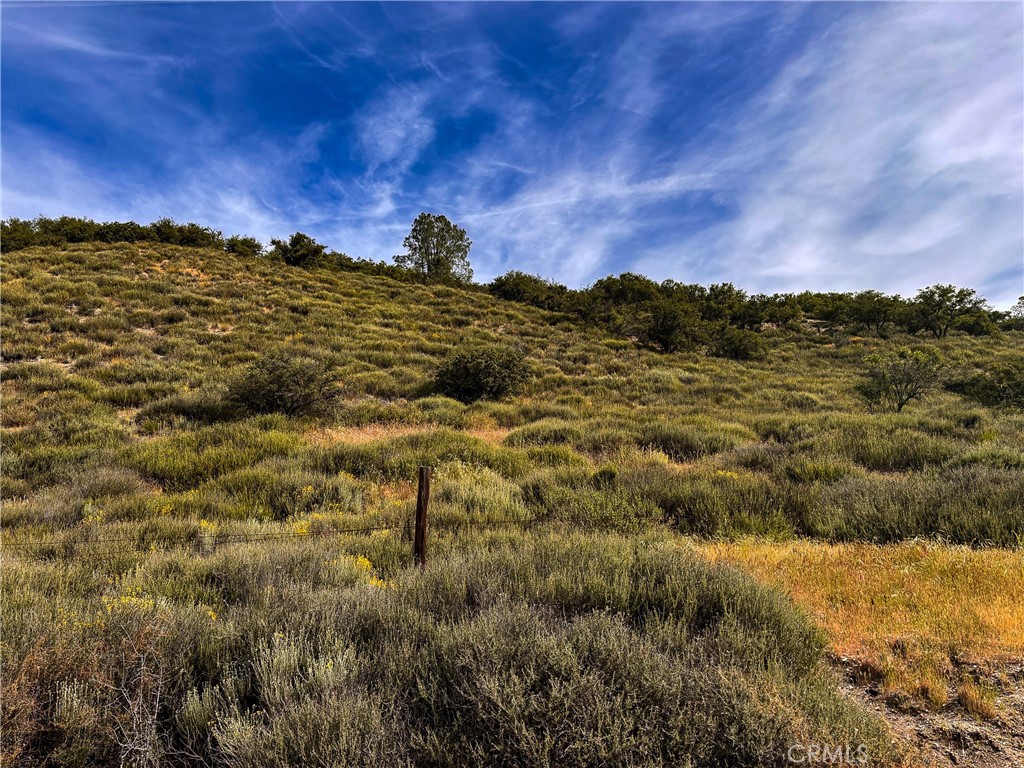 0 Lockwood San Ardo Road Bradley, CA 93426 - Photo 11 of 21