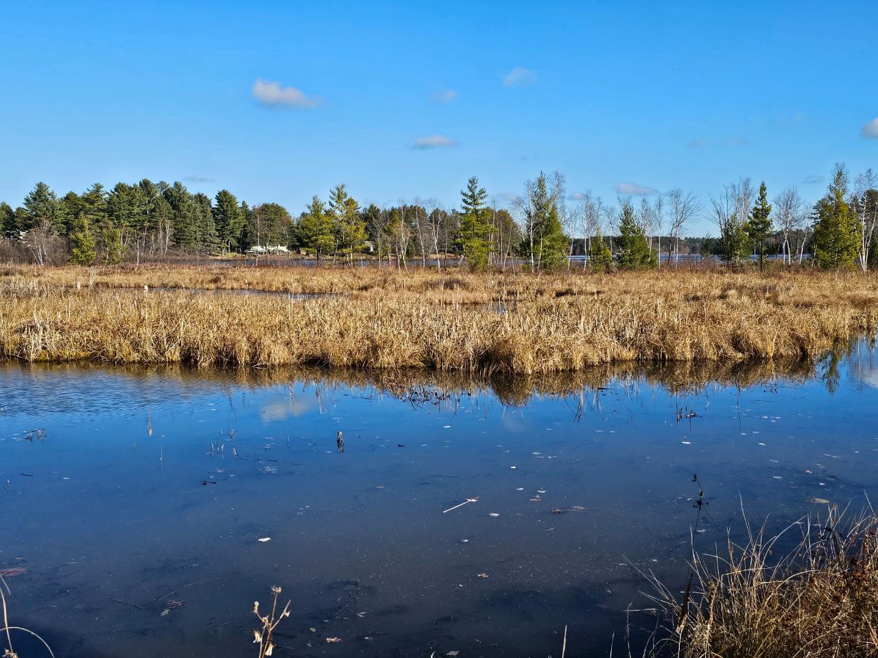 N10228 South Pine Road Tomahawk, WI 54487 - Photo 1 of 31 Gallery Image 1