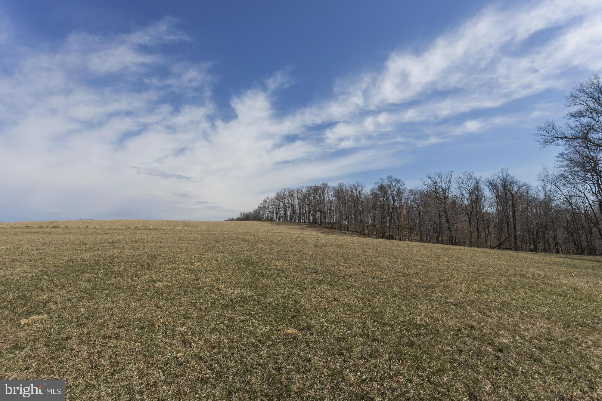 12650 Knoll Road Mount Airy, MD 21771 - Photo 27 of 30 Gorgeous Property