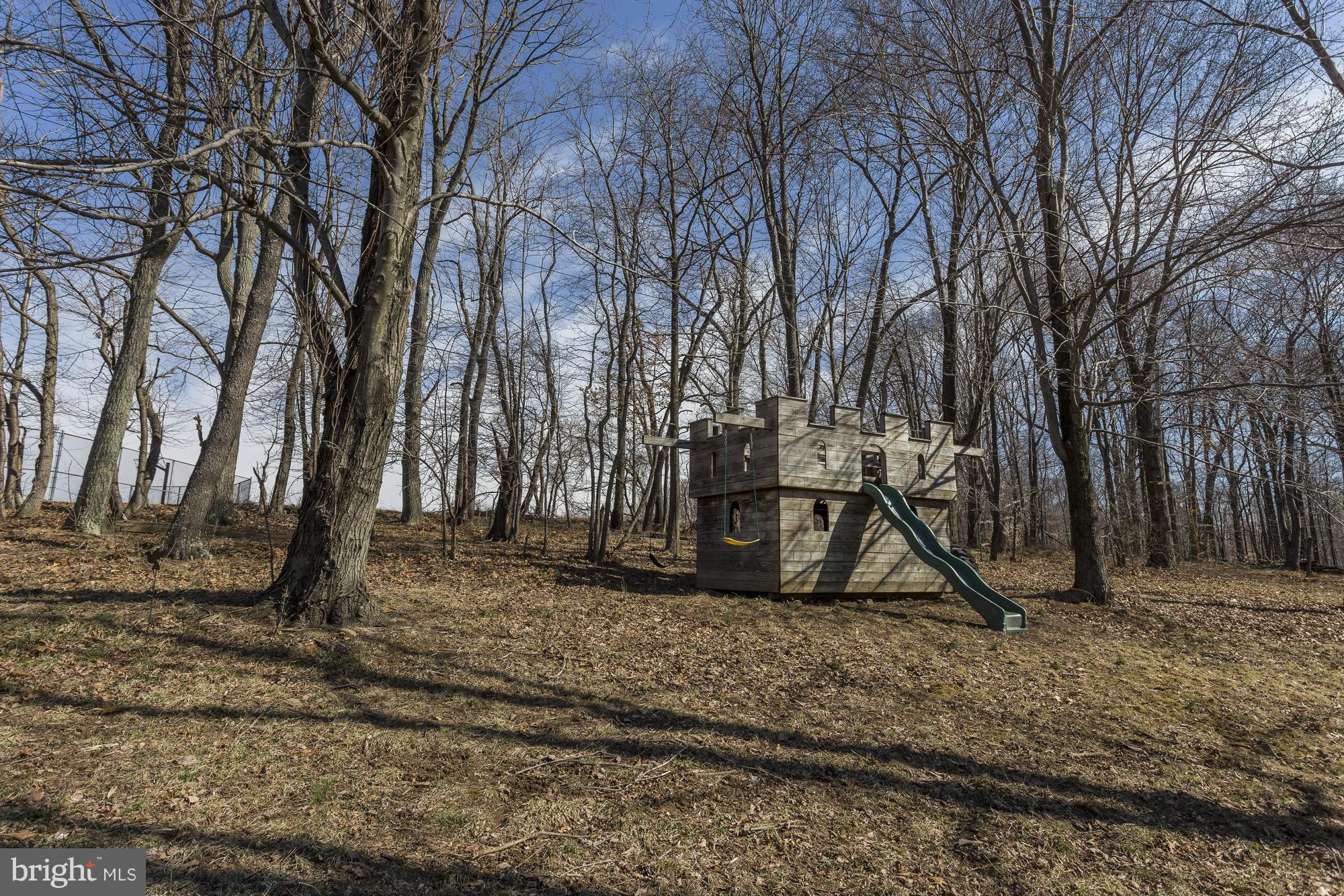 12650 Knoll Road Mount Airy, MD 21771 - Photo 29 of 30 Play Area