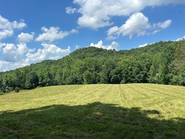 0 Mt Tussell Road Knifley, KY 42753 - Photo 1 of 46 Gallery Image 1