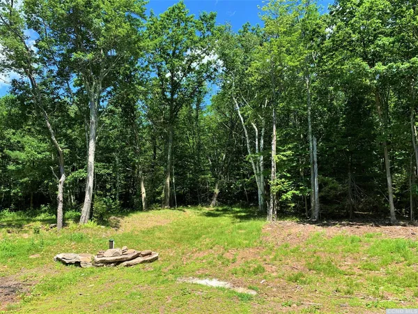 a view of a backyard with a small cabin