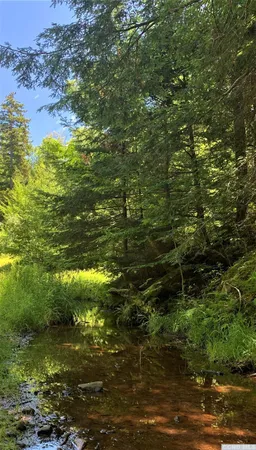 a view of a lake view