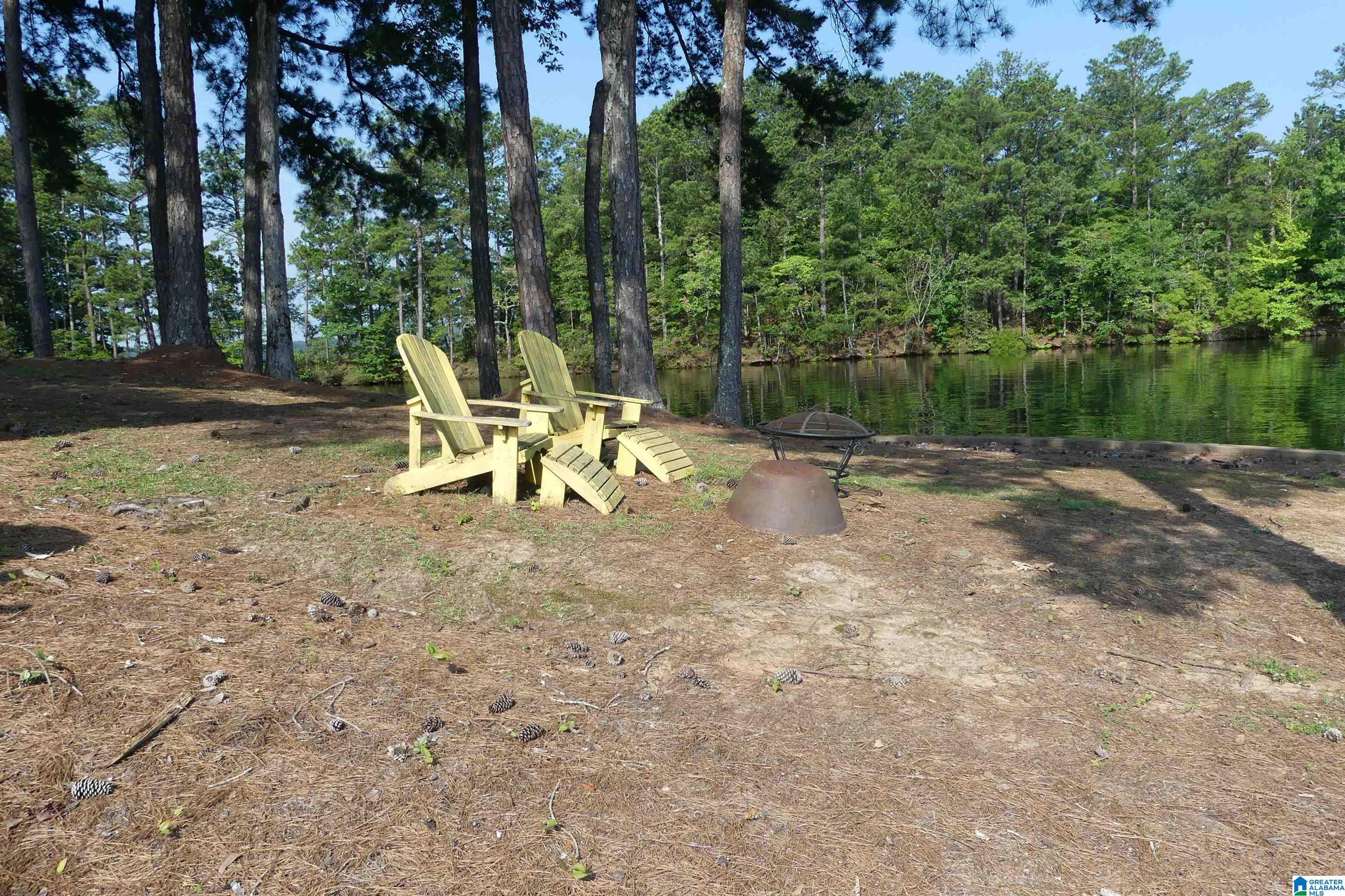 5338 County Road 804 Wedowee, AL 36278 - Photo 8 of 12