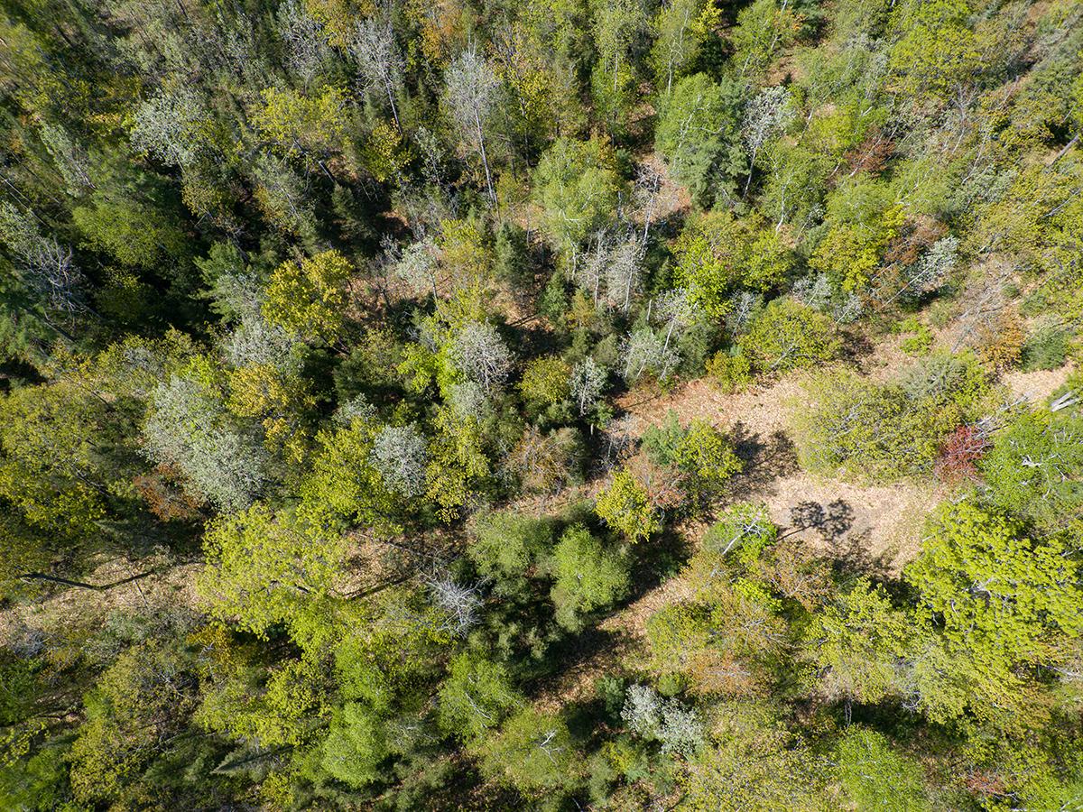 Off Sunset Road Eagle River, WI 54521 - Photo 5 of 33 Gallery Image 5