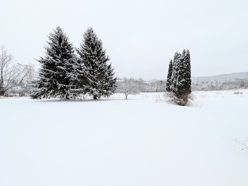 3757 Hamden Hill Road Hamden, NY 13782 - Photo 23 of 23