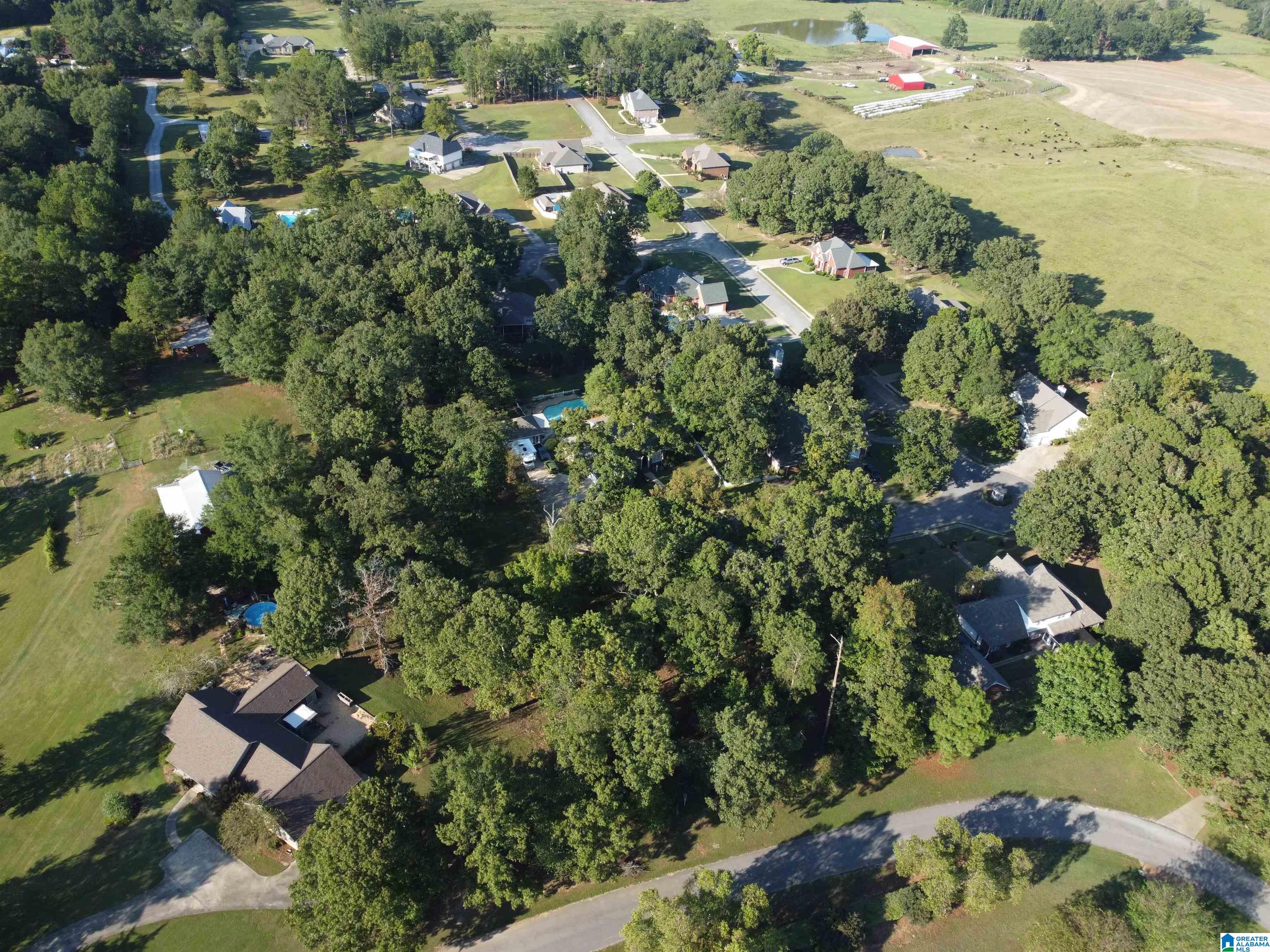 Lot 16 Riley Circle, Unit 16 Thorsby, AL 35171 - Photo 9 of 19
