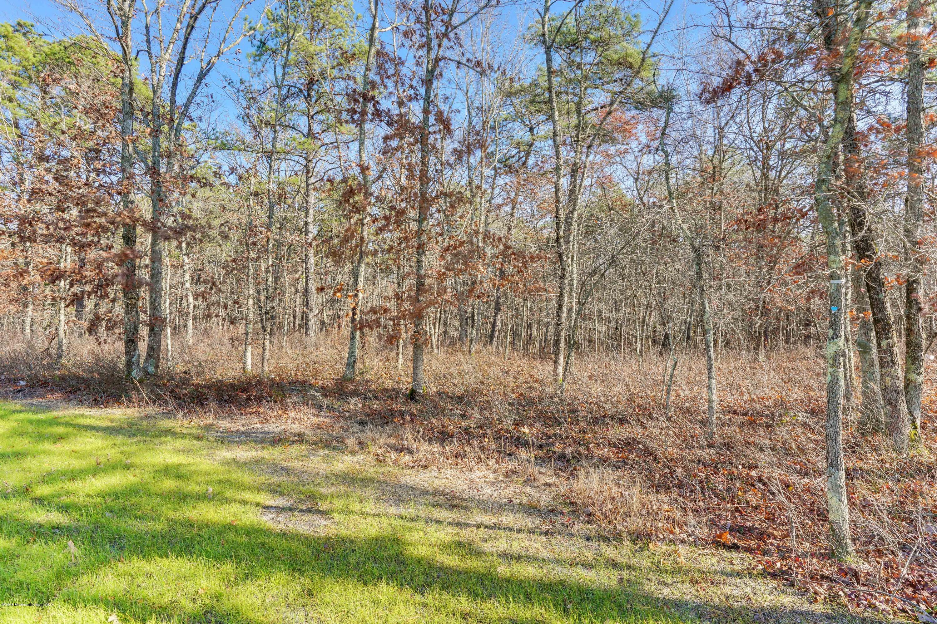 21 Bellagio Road Jackson, NJ 08527 - Photo 23 of 23 Rear Yard