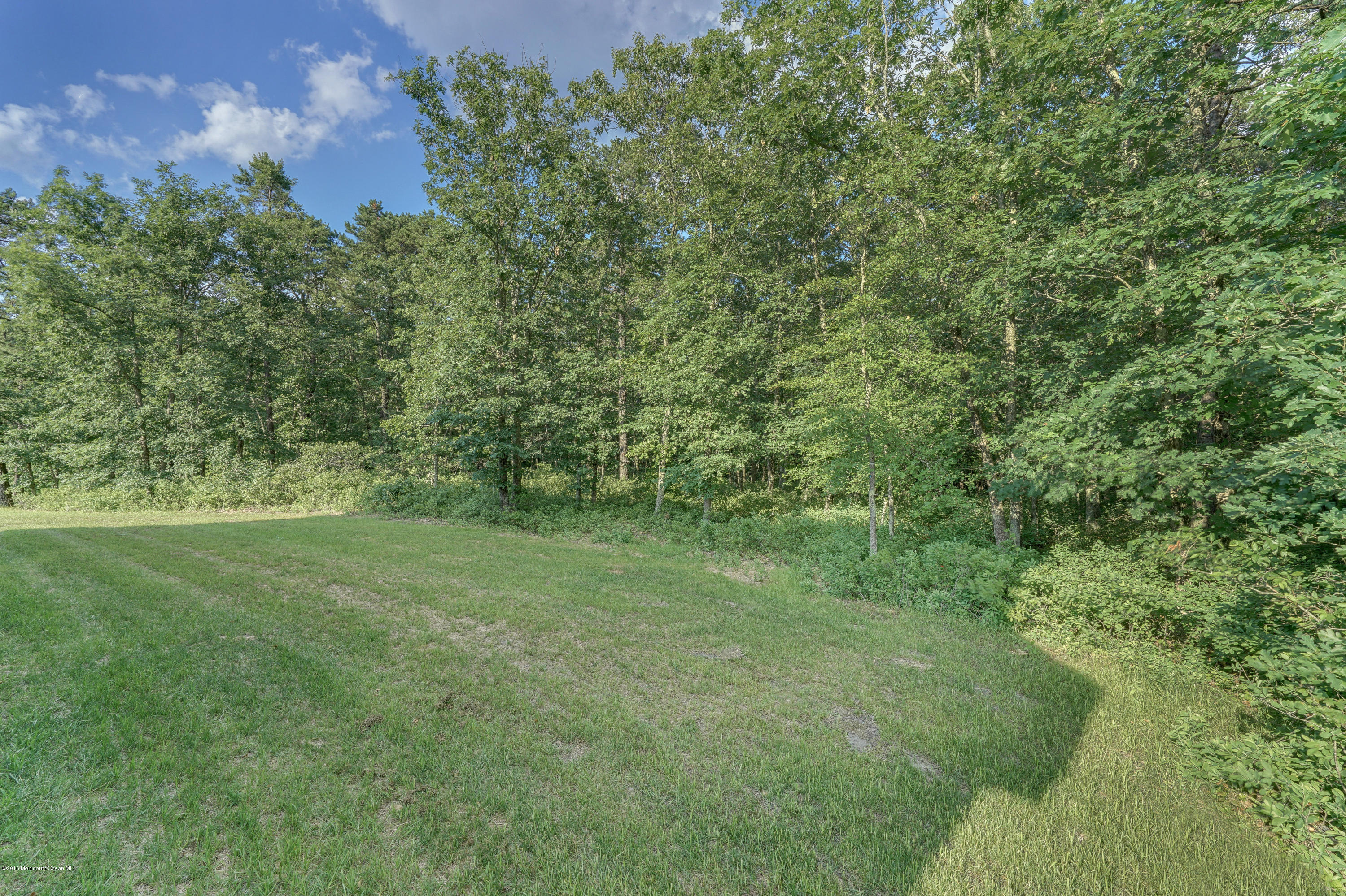 21 Bellagio Road Jackson, NJ 08527 - Photo 3 of 23 Wooded Backyard