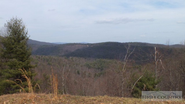 3086 Summit Road Purlear, NC 28665 - Photo 13 of 13