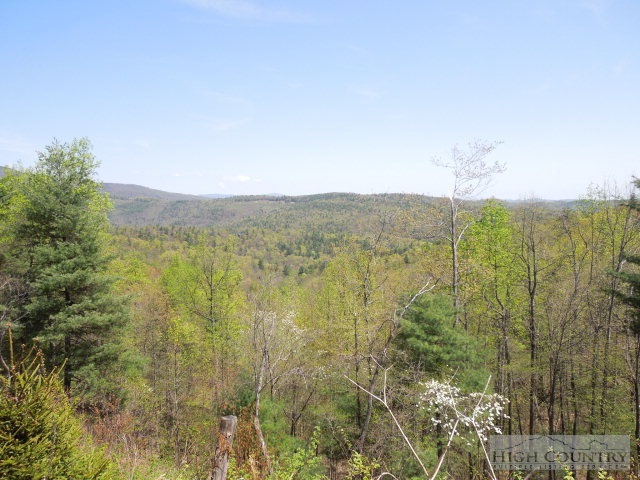 3086 Summit Road Purlear, NC 28665 - Photo 2 of 13 a view of lake and mountain
