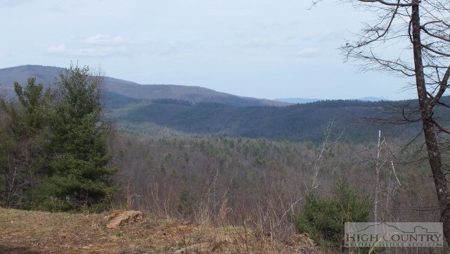 3086 Summit Road Purlear, NC 28665 - Photo 5 of 13 a view of a dry yard with mountains in the background