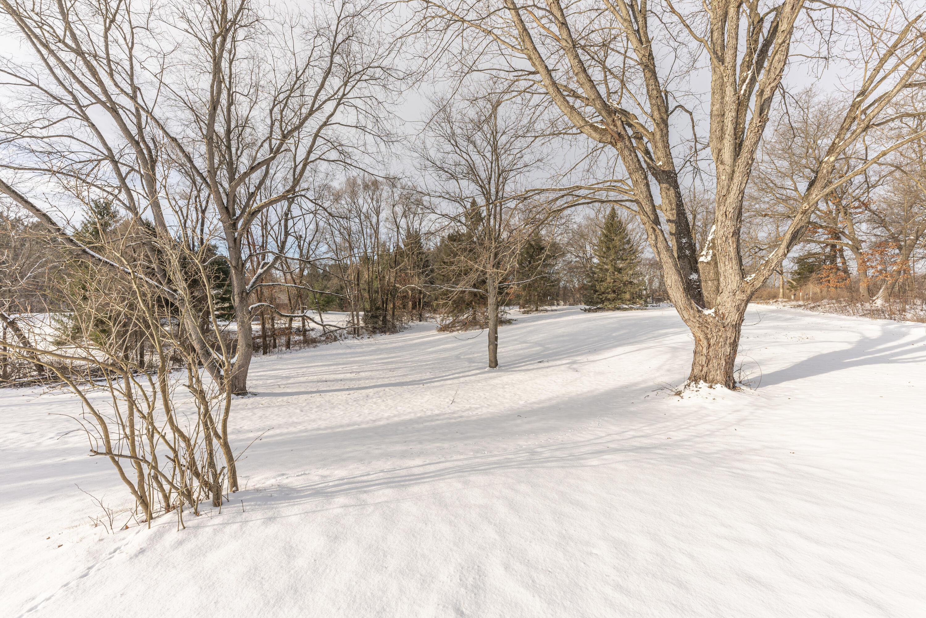 6860 Dexter-Pinckney Road Dexter, MI 48130 - Photo 4 of 48 005_51