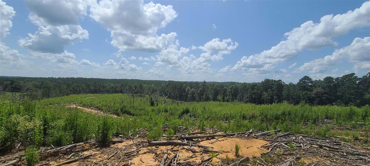2049 Center Hill Road Finger, TN 38334 - Photo 1 of 24