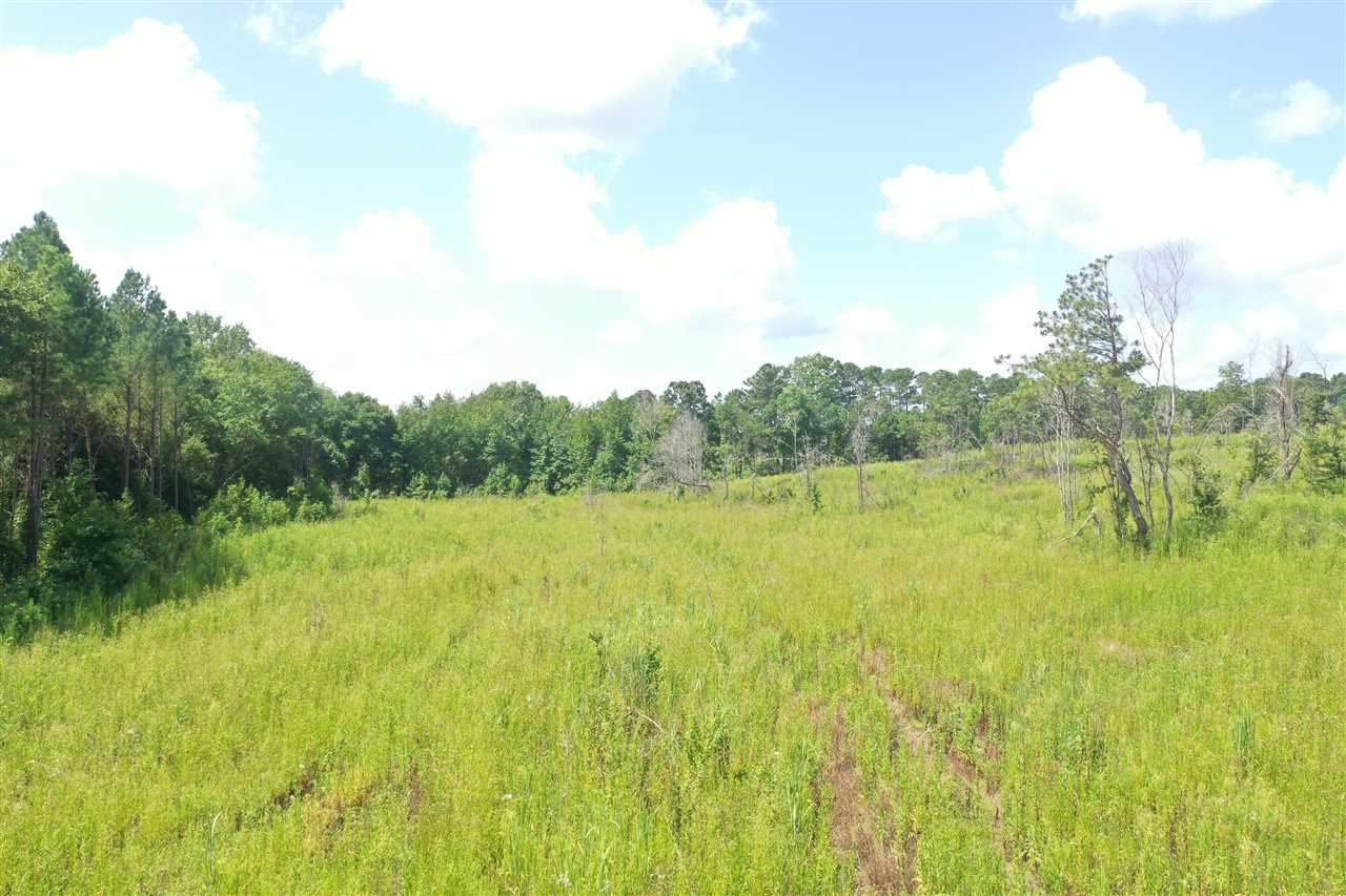 2049 Center Hill Road Finger, TN 38334 - Photo 14 of 24
