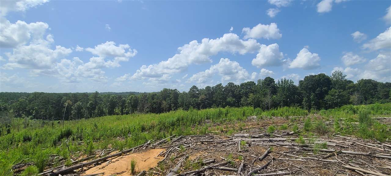 2049 Center Hill Road Finger, TN 38334 - Photo 3 of 24