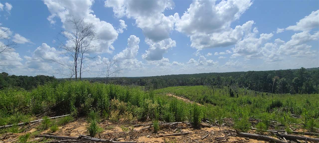 2049 Center Hill Road Finger, TN 38334 - Photo 4 of 24