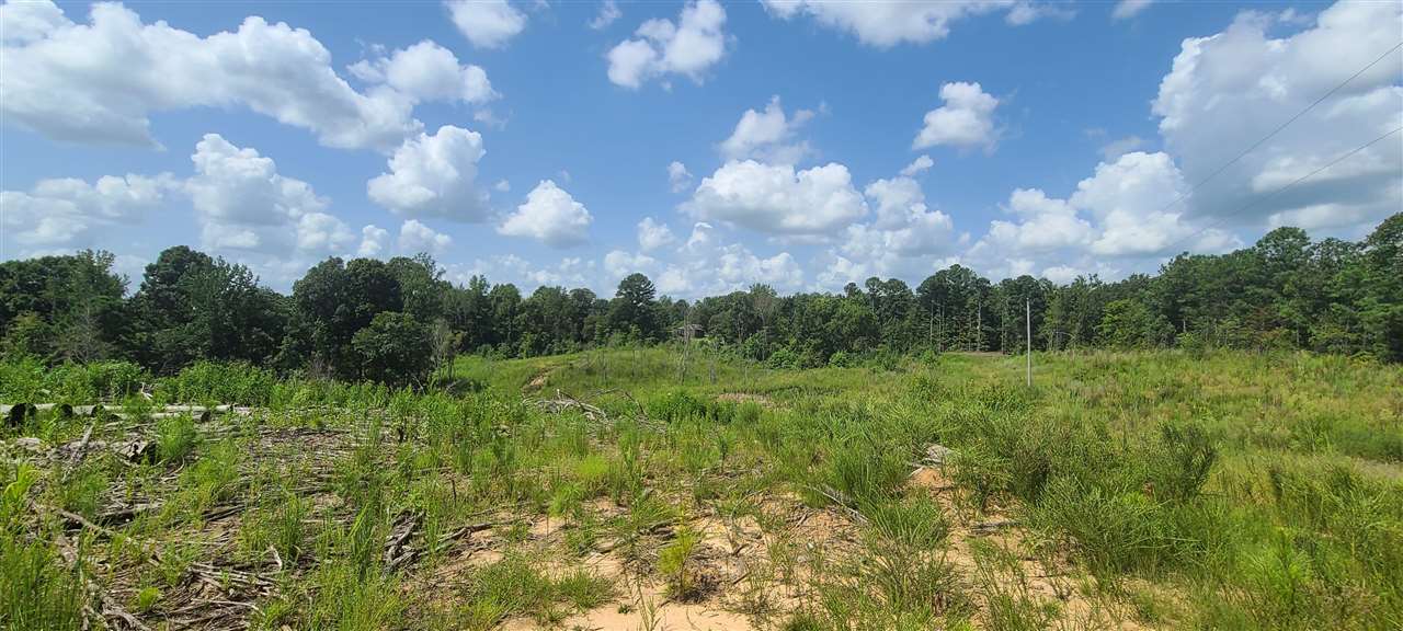2049 Center Hill Road Finger, TN 38334 - Photo 5 of 24