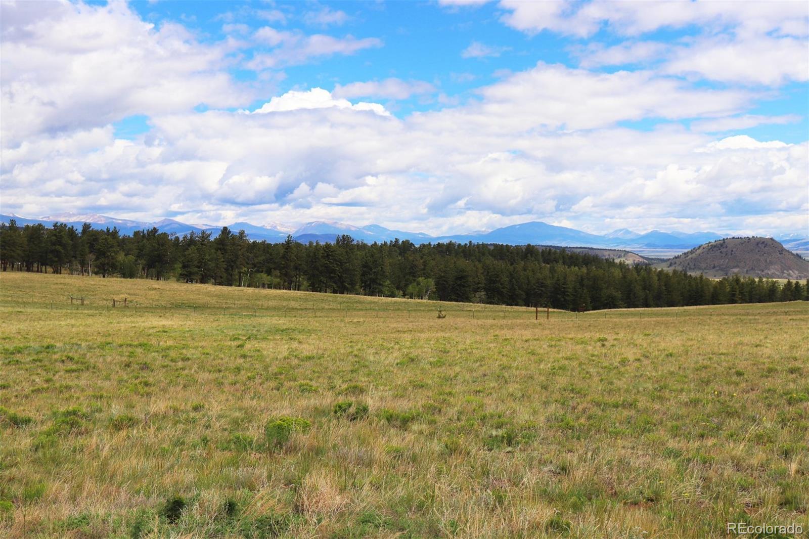 Hayhook Way Hartsel, CO 80449 - Photo 1 of 10 Gallery Image 1