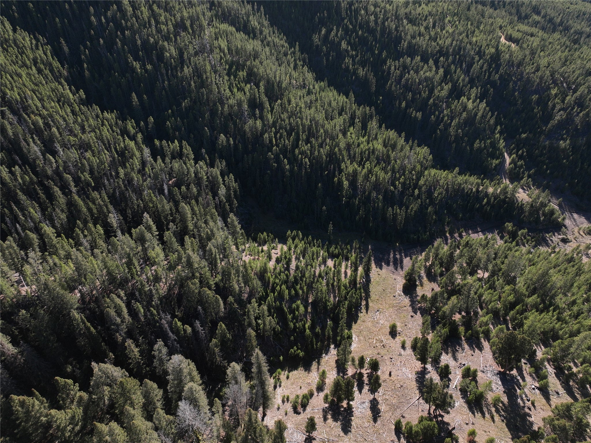 Lot 7 Ruby Mine Road Butte, MT 59701 - Photo 8 of 25 Gallery Image 8
