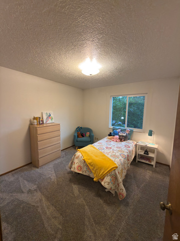 1164 East Mountain Road Logan, UT 84321 - Photo 35 of 45 Carpeted room featuring a single window and a ceiling-mounted light fixture