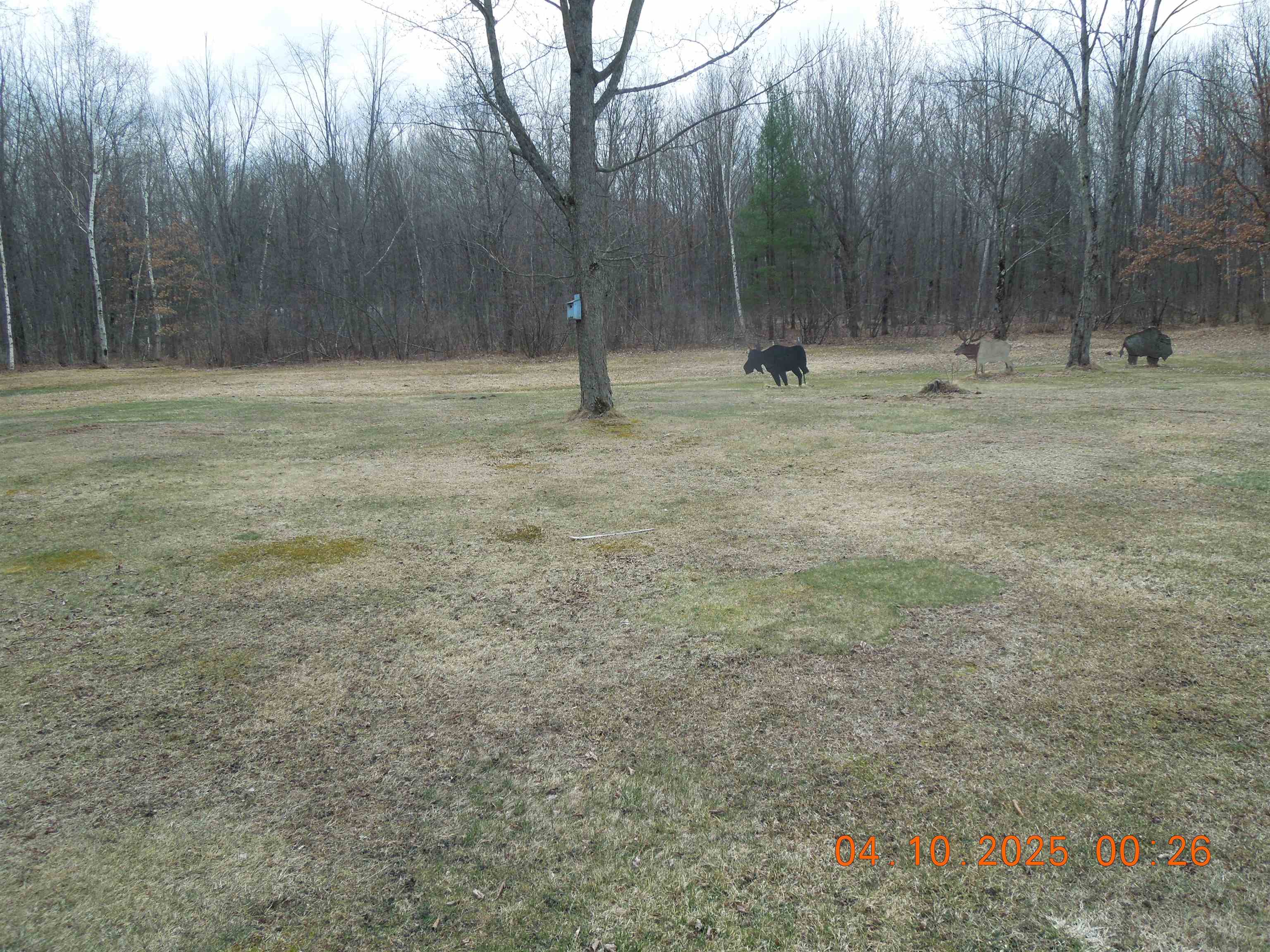 1570 Jones Road Beaverton, MI 48612 - Photo 8 of 33