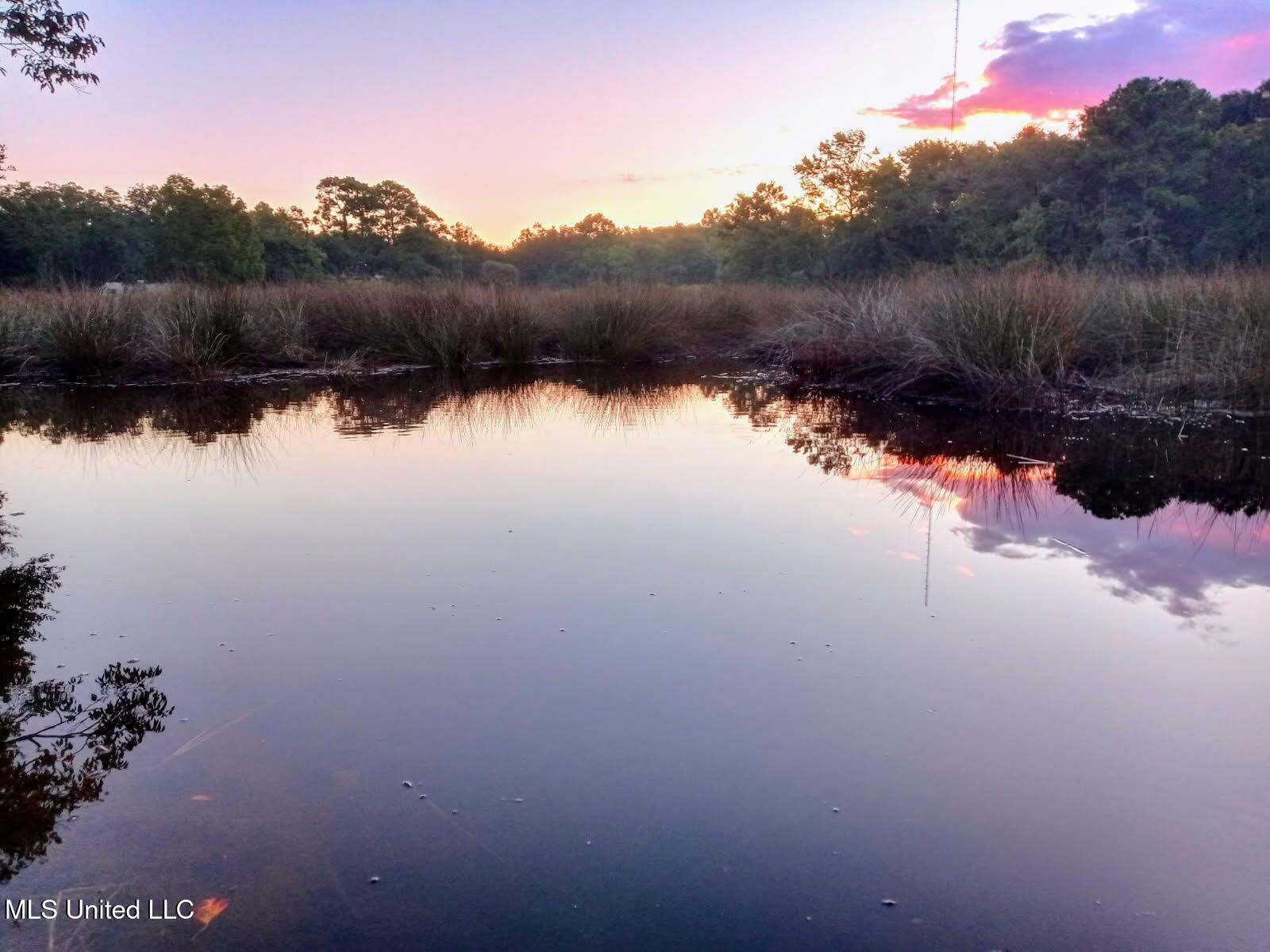 5114 Bay Street Pascagoula, MS 39567 - Photo 2 of 20 2741140168980419246